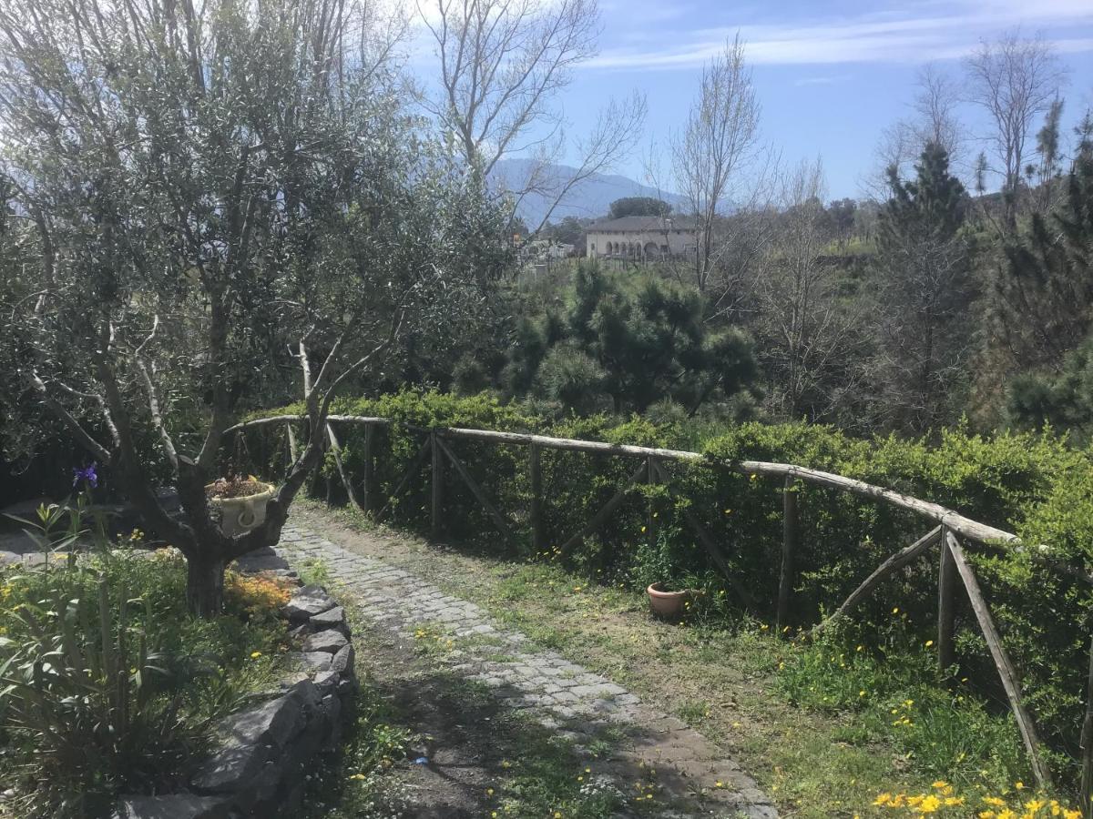 Tenuta Terradifuoco Terzigno Eksteriør billede